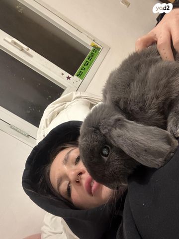 תמונת מודעה - חיות מחמד