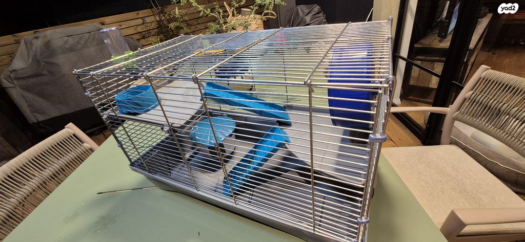 תמונת מודעה - חיות מחמד