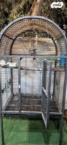 תמונת מודעה - חיות מחמד