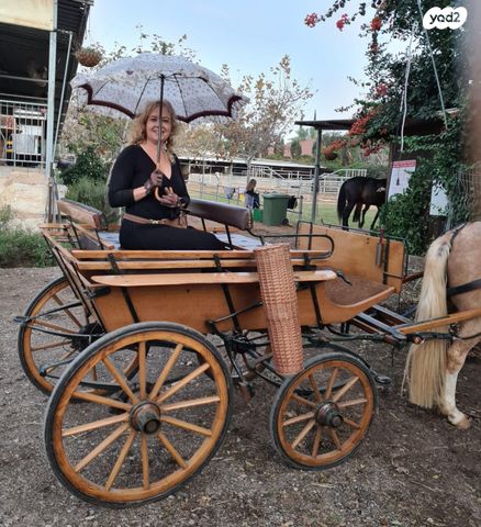 אביזרים | כרכרה