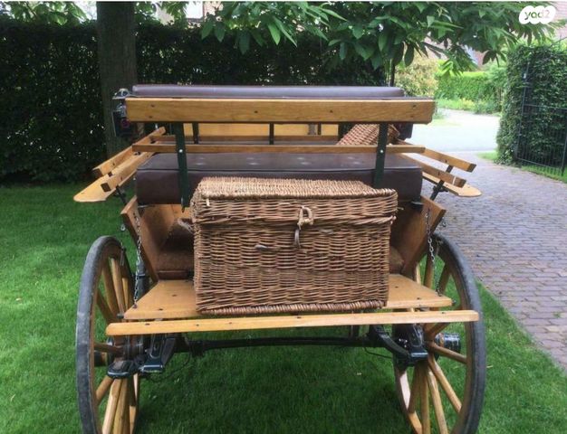 אביזרים | כרכרה