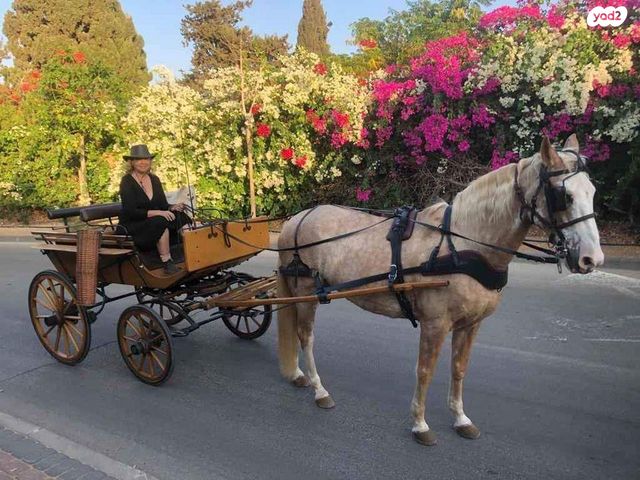 אביזרים | כרכרה
