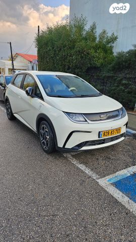 מודעת רכב בי.ווי.די דולפין