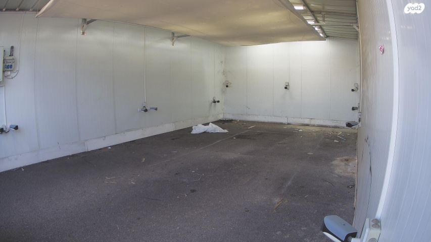 מודעת רכב קיה פיקנטו