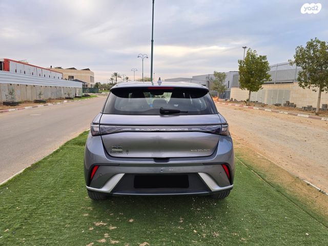 בי.ווי.די דולפין