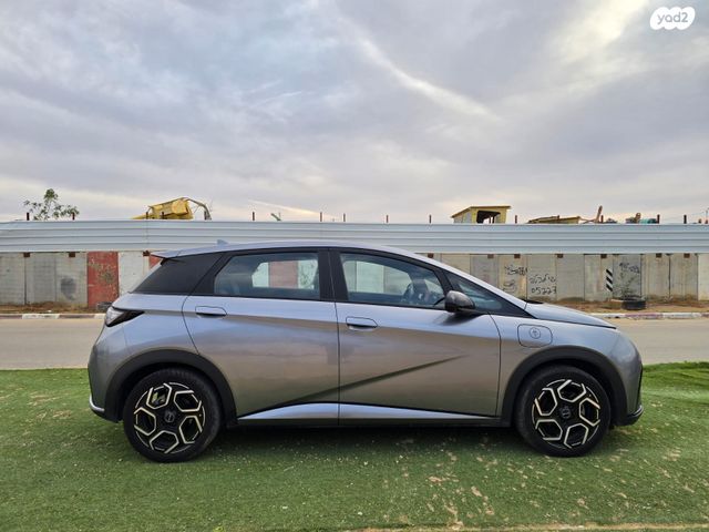 בי.ווי.די דולפין