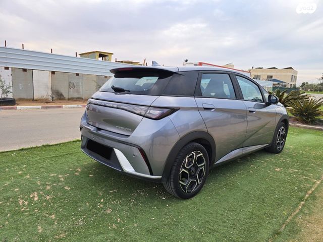 בי.ווי.די דולפין