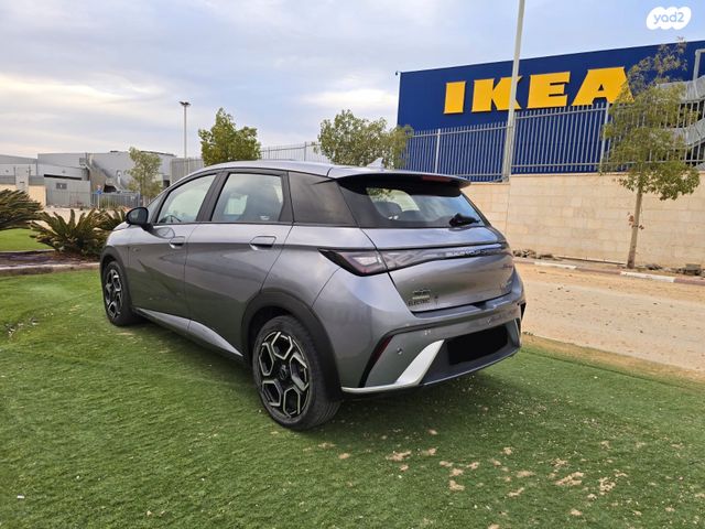 בי.ווי.די דולפין