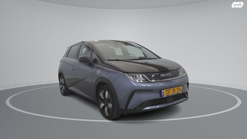 בי.ווי.די דולפין