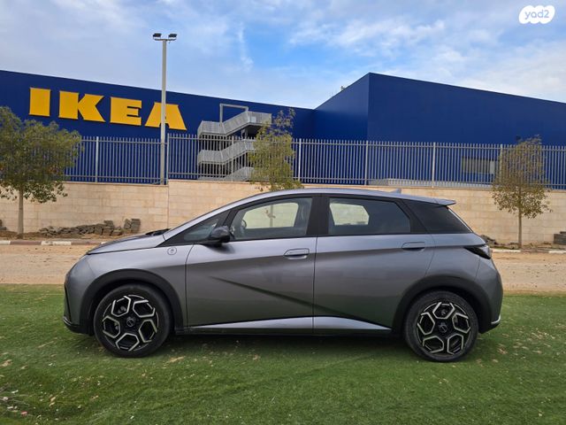 בי.ווי.די דולפין