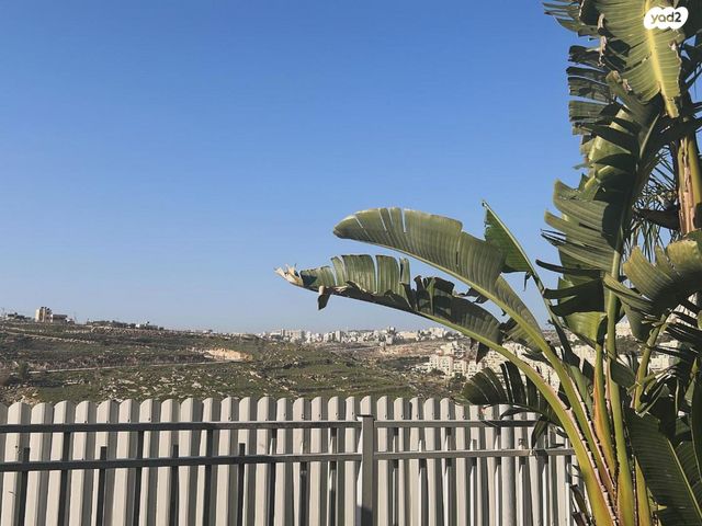 עמנואל זיסמן 32