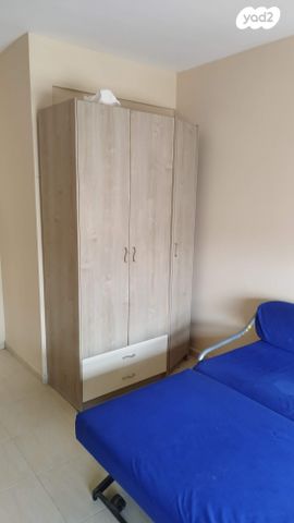 גג/ פנטהאוז, ארבע עונות 7, גני אביב, לוד