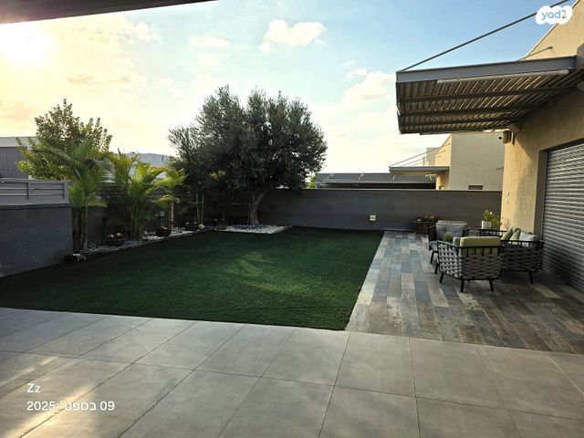 פאני מוגרבי 54