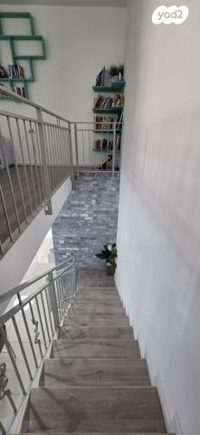 סירה קוצנית 7