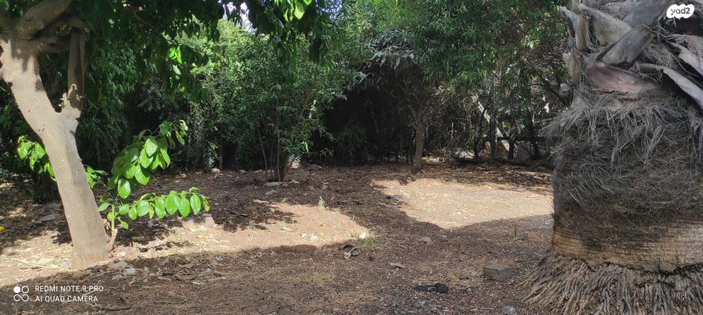 טריפלקס, רש"י 13, מרכז עפולה עלית, עפולה