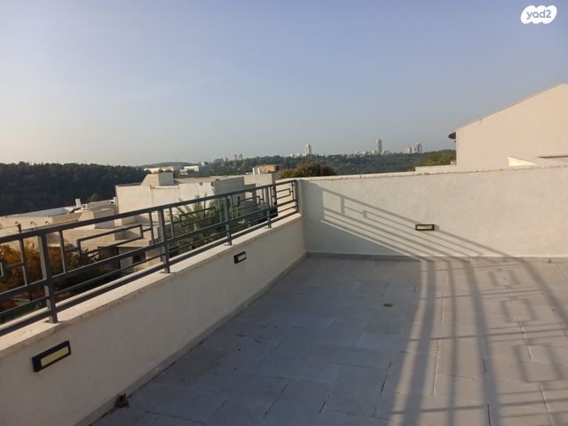 הרב ווסרמן 41