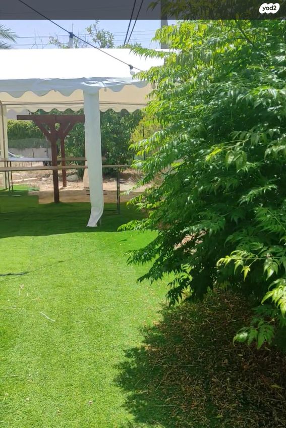 כנפי הנשרים 6