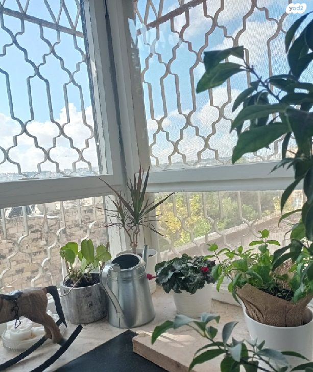 דירה, דב גרונר 212, ארמון הנציב, תלפיות מזרח, ירושלים