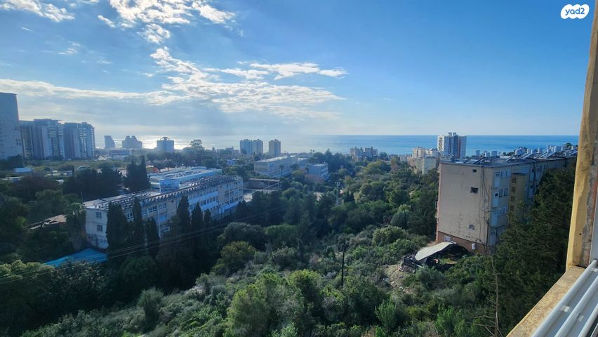 דירה, דוד בר רב האי 40, קרית שפרינצק, חיפה