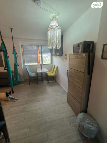 זלמן שניאור 24