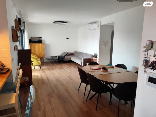 שייקה אופיר 14