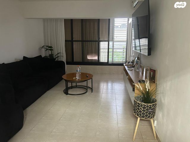 דוד אלרואי 13