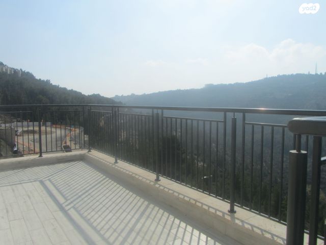 אבנר חי שאקי 43