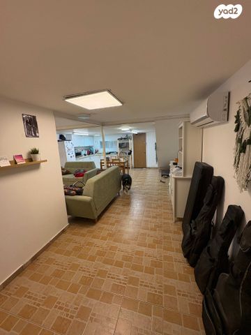 דוד פלורנטין 13