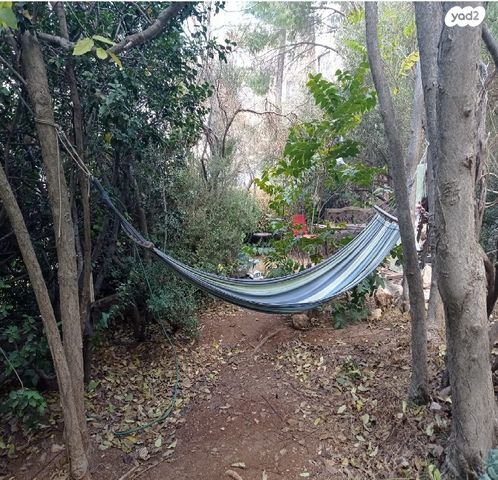 דירה, דב גרונר 212, ארמון הנציב, תלפיות מזרח, ירושלים