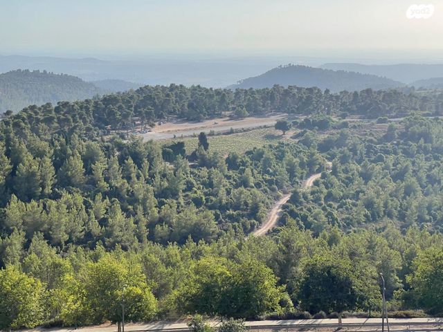 דירה, הפסגה 1, שורש, שורש