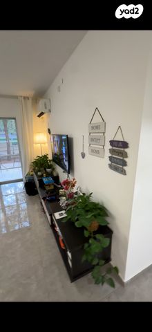 אוריה החיתי 5