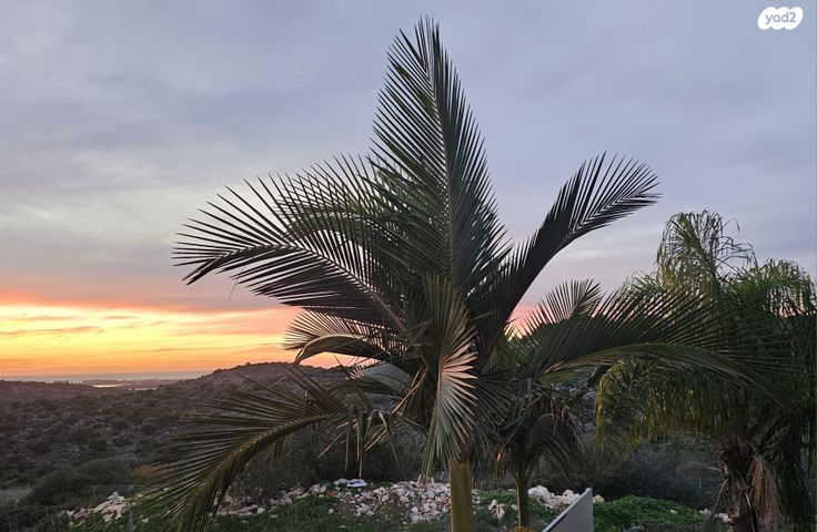 יחידת דיור, נוף הים 1, עבדון, עבדון