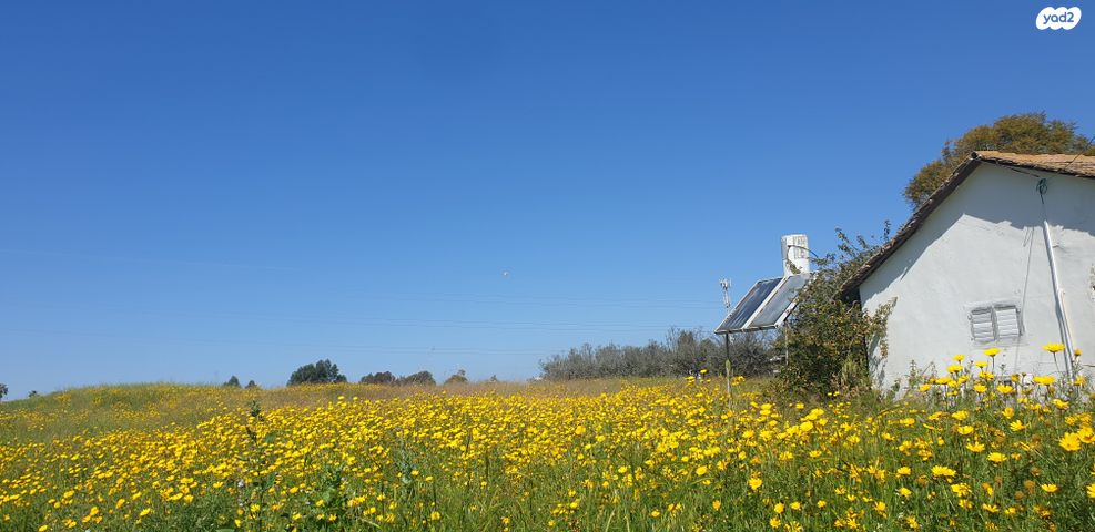 משק חקלאי/ נחלה