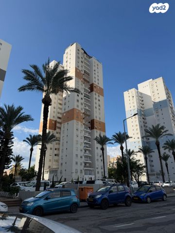 יגאל אלון 11