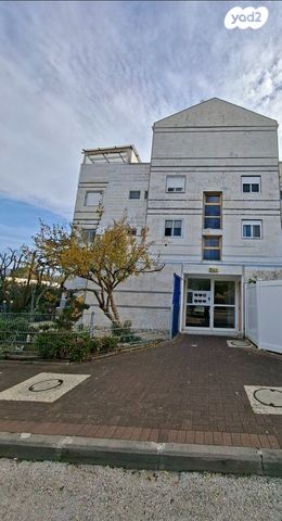 דופלקס, בציר, כרמיאל