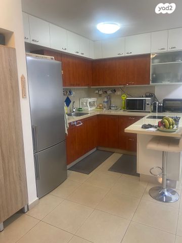 הרב יצחק ידידיה פרנקל 