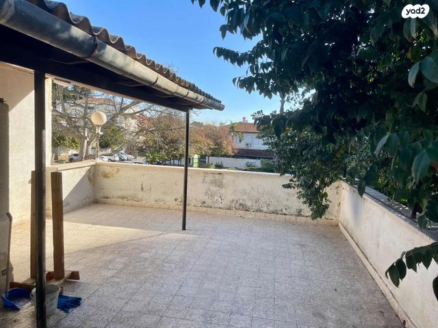 דירה, שפרינצק, שיכוני מזרחי, כפר סבא