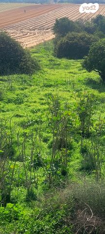 משק חקלאי/ נחלה
