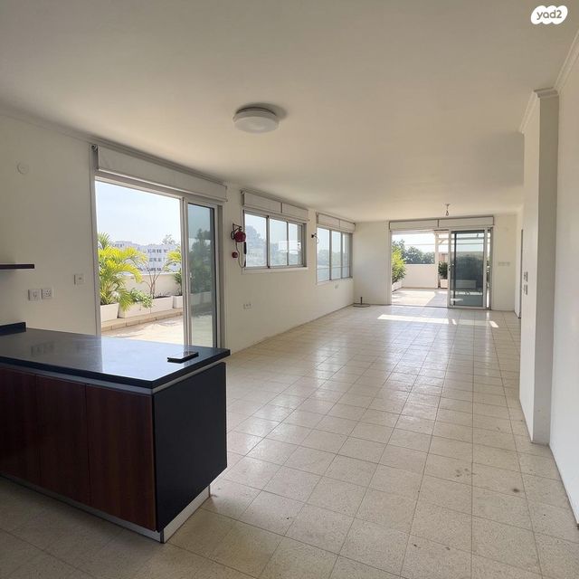 גג/ פנטהאוז, העיט, לב הפארק, רעננה