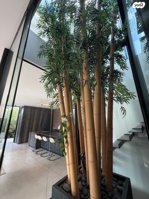 דו משפחתי, שיכון צנחנים, רמת גן