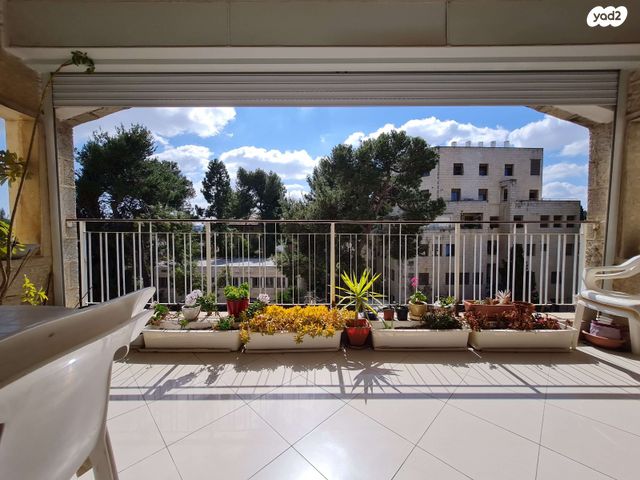 דוד אלרואי 3