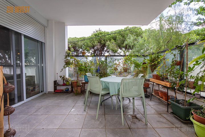 שדרות הצבי 25