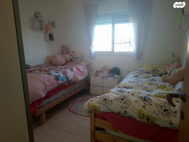 דירה, נרקיס, מעלות תרשיחא