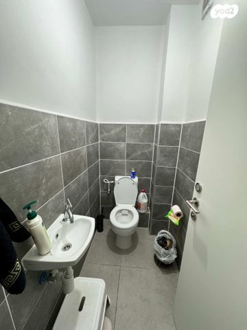 דירה, שקמים ואגמים, אשקלון