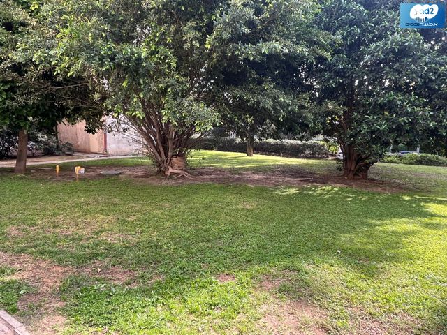 דירה, שרה אהרונסון, אזור הבילויים, רמת גן