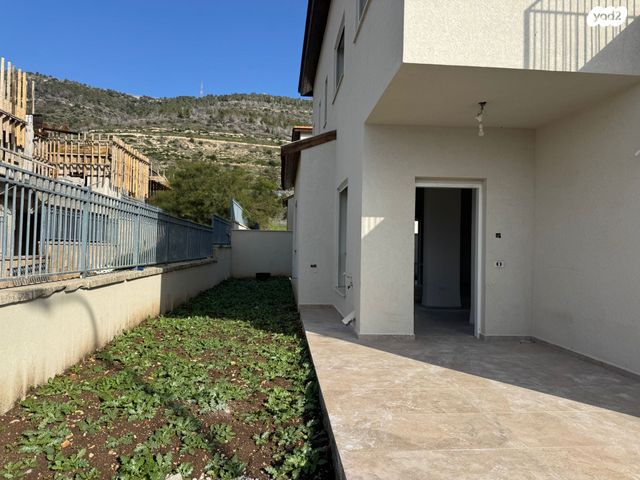 חורשת האקליפטוס 