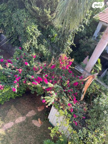 דו משפחתי, גבעתיים