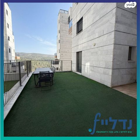 רועי קליין 21