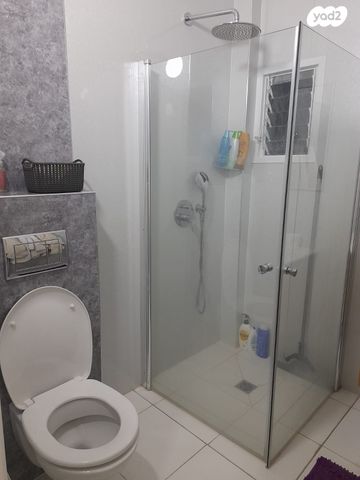 גג/ פנטהאוז, טרומפלדור 19, לב המושבה / מרכז העיר, פתח תקווה