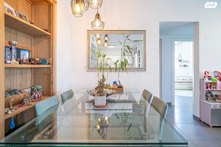 דירה, דובה ויצחק שיינפיין, כפר סבא הירוקה, כפר סבא